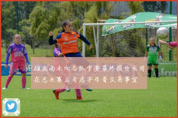 雄鹿尚未向各队索要最终报价或将在总决赛后考虑字母哥交易事宜